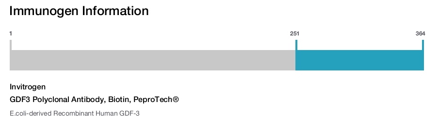 GDF3 Polyclonal Antibody, Biotin, PeproTech®