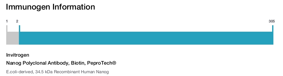 Nanog Polyclonal Antibody, Biotin, PeproTech®