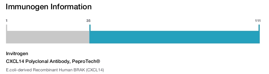 CXCL14 Polyclonal Antibody, PeproTech®