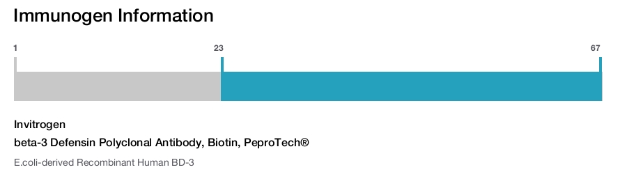 beta-3 Defensin Polyclonal Antibody, Biotin, PeproTech®