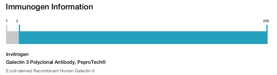 Galectin 3 Polyclonal Antibody, PeproTech®