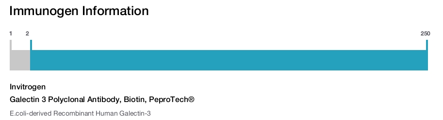 Galectin 3 Polyclonal Antibody, Biotin, PeproTech®