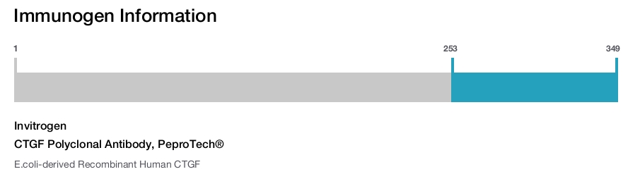 CTGF Polyclonal Antibody, PeproTech®