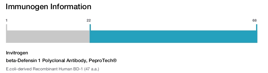 beta-Defensin 1 Polyclonal Antibody, PeproTech®