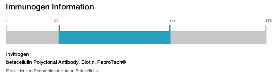 betacellulin Polyclonal Antibody, Biotin, PeproTech®