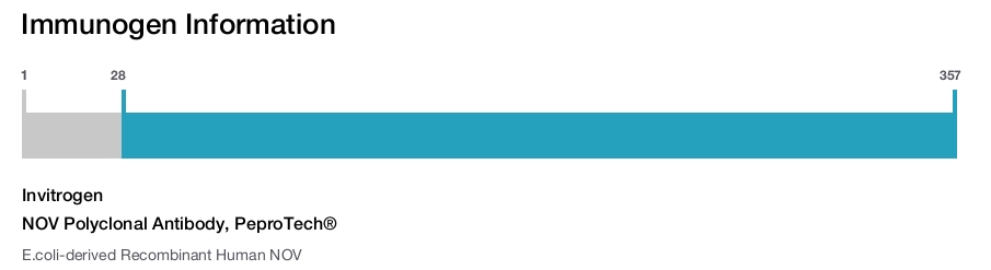 NOV Polyclonal Antibody, PeproTech®