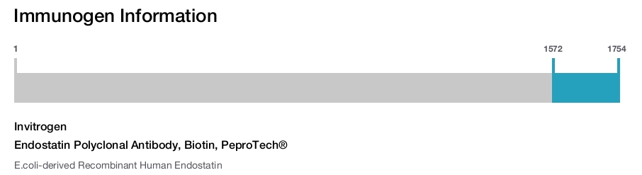 Endostatin Polyclonal Antibody, Biotin, PeproTech®