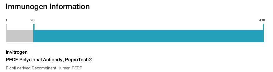 PEDF Polyclonal Antibody, PeproTech®