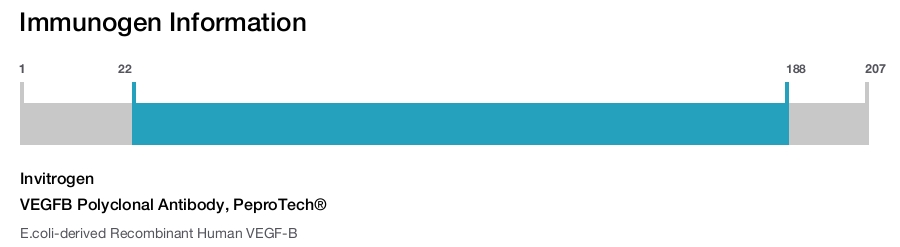 VEGFB Polyclonal Antibody, PeproTech®