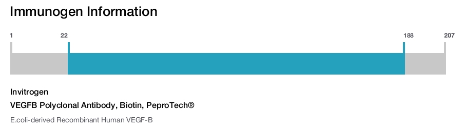 VEGFB Polyclonal Antibody, Biotin, PeproTech®