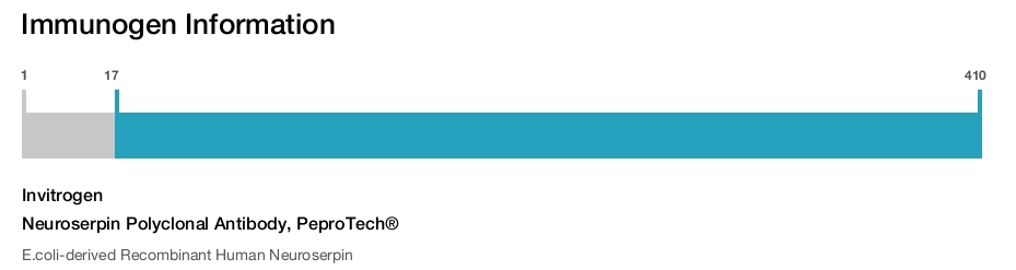 Neuroserpin Polyclonal Antibody, PeproTech®