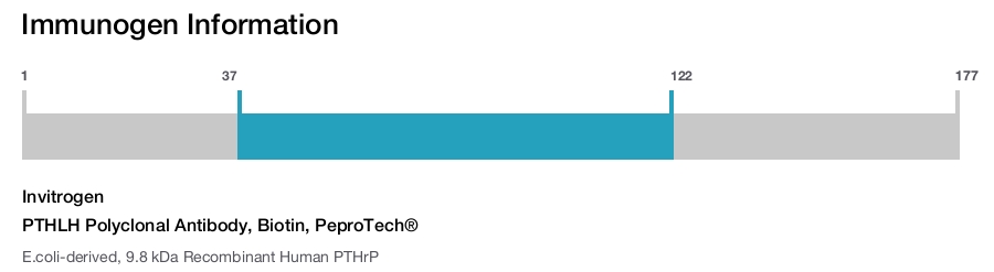 PTHLH Polyclonal Antibody, Biotin, PeproTech®