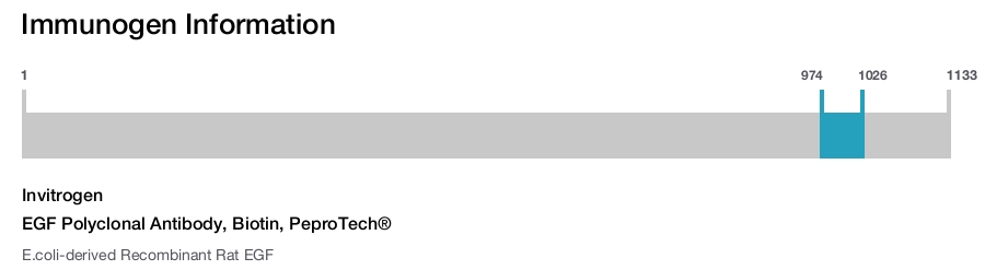 EGF Polyclonal Antibody, Biotin, PeproTech®