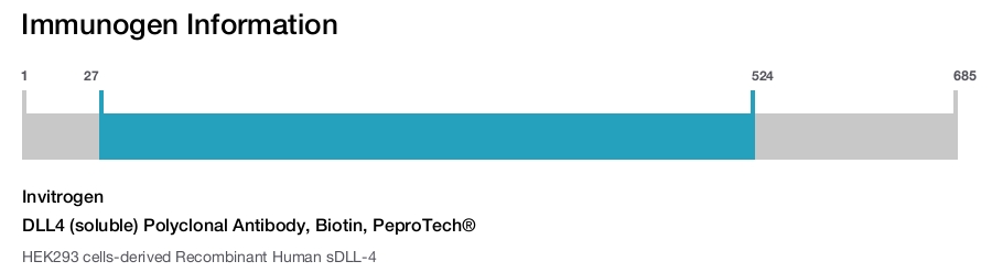 DLL4 (soluble) Polyclonal Antibody, Biotin, PeproTech®