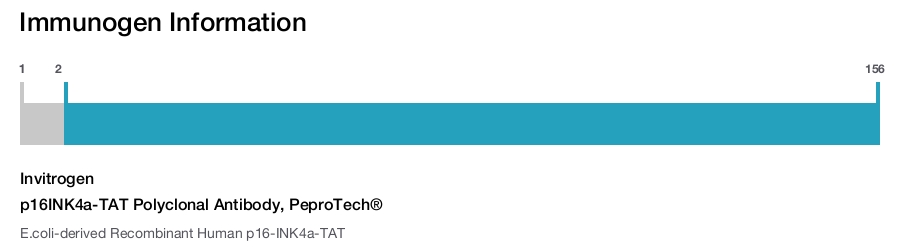 p16INK4a-TAT Polyclonal Antibody, PeproTech®