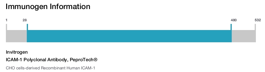 ICAM-1 Polyclonal Antibody, PeproTech®
