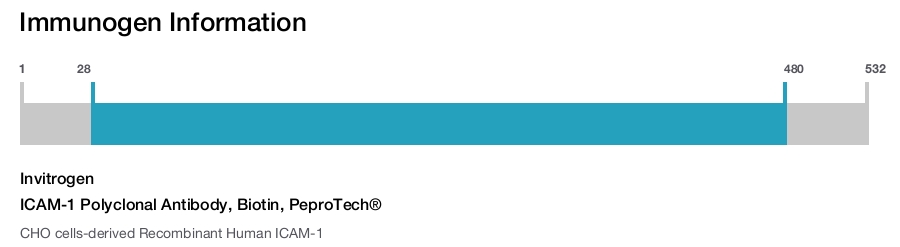ICAM-1 Polyclonal Antibody, Biotin, PeproTech&reg;