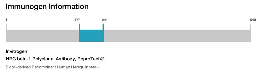 HRG beta-1 Polyclonal Antibody, PeproTech®