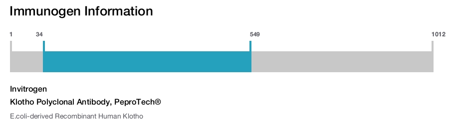 Klotho Polyclonal Antibody, PeproTech®