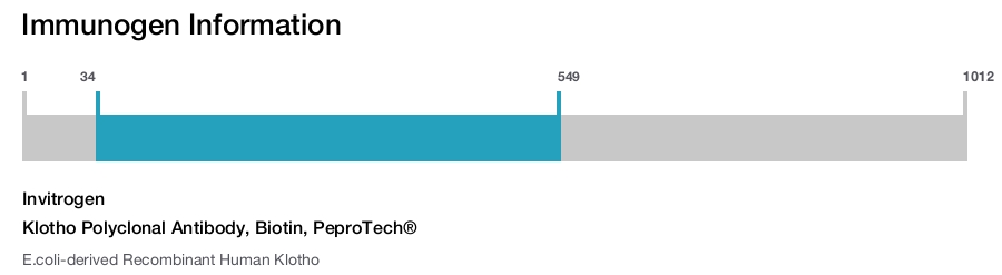Klotho Polyclonal Antibody, Biotin, PeproTech&reg;