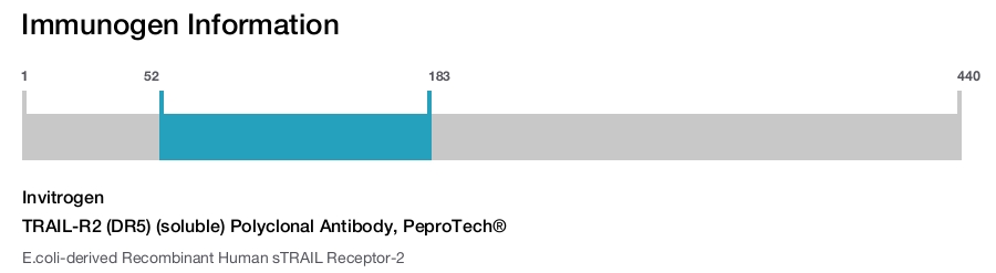 TRAIL-R2 (DR5) (soluble) Polyclonal Antibody, PeproTech®