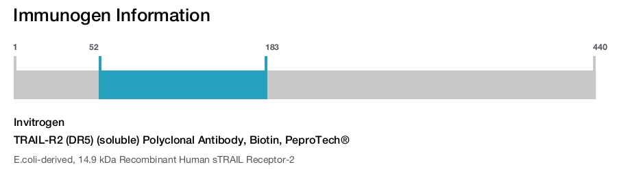 TRAIL-R2 (DR5) (soluble) Polyclonal Antibody, Biotin, PeproTech®