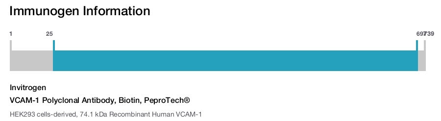 VCAM-1 Polyclonal Antibody, Biotin, PeproTech&reg;
