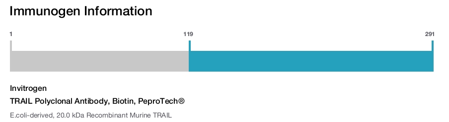 TRAIL Polyclonal Antibody, Biotin, PeproTech&reg;