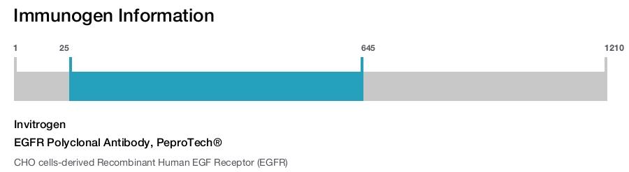 EGFR Polyclonal Antibody, PeproTech®