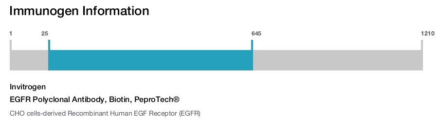 EGFR Polyclonal Antibody, Biotin, PeproTech&reg;