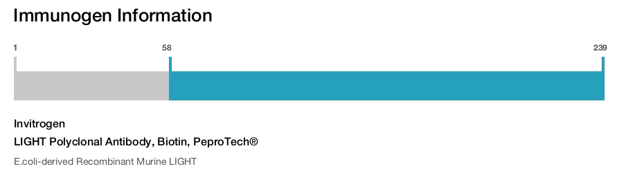 LIGHT Polyclonal Antibody, Biotin, PeproTech®