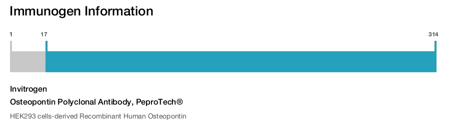 Osteopontin Polyclonal Antibody, PeproTech®
