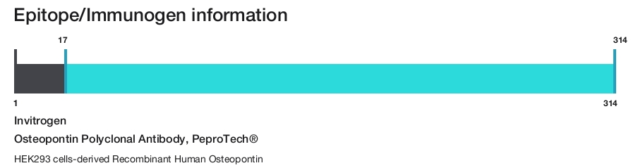 Osteopontin Polyclonal Antibody, PeproTech&reg;