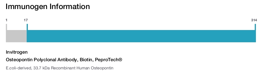 Osteopontin Polyclonal Antibody, Biotin, PeproTech®