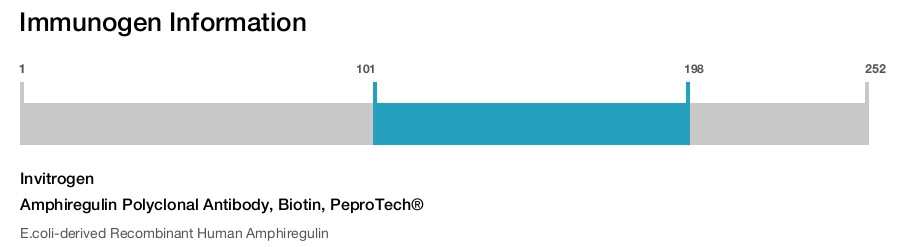Amphiregulin Polyclonal Antibody, Biotin, PeproTech®
