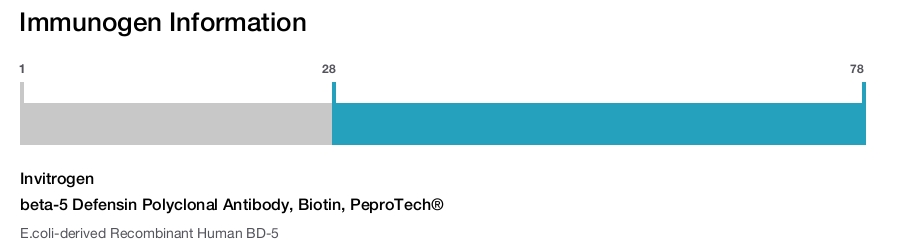 beta-5 Defensin Polyclonal Antibody, Biotin, PeproTech®