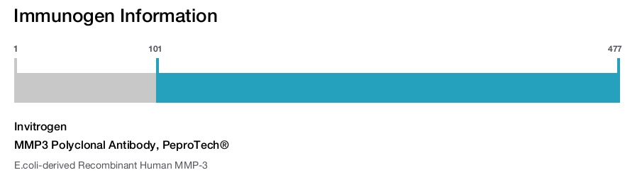 MMP3 Polyclonal Antibody, PeproTech®