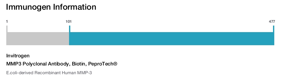 MMP3 Polyclonal Antibody, Biotin, PeproTech&reg;