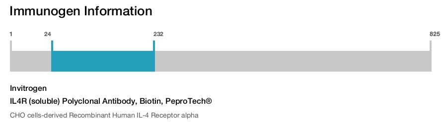 IL4R (soluble) Polyclonal Antibody, Biotin, PeproTech®
