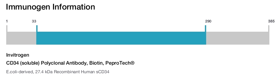 CD34 (soluble) Polyclonal Antibody, Biotin, PeproTech®