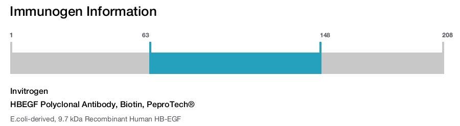 HBEGF Polyclonal Antibody, Biotin, PeproTech®
