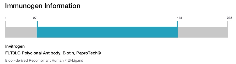 FLT3LG Polyclonal Antibody, Biotin, PeproTech®
