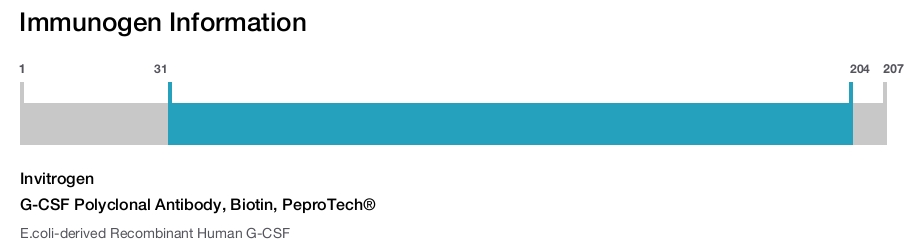 G-CSF Polyclonal Antibody, Biotin, PeproTech®