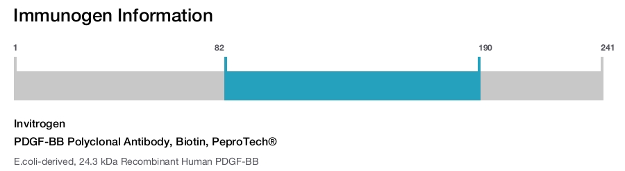 PDGF-BB Polyclonal Antibody, Biotin, PeproTech®