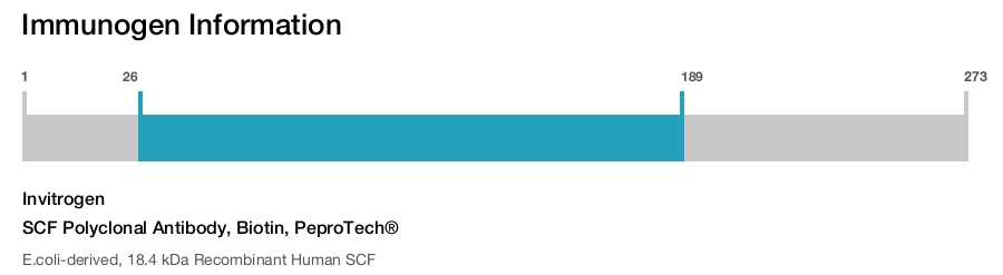 SCF Polyclonal Antibody, Biotin, PeproTech®