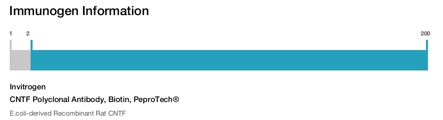 CNTF Polyclonal Antibody, Biotin, PeproTech®