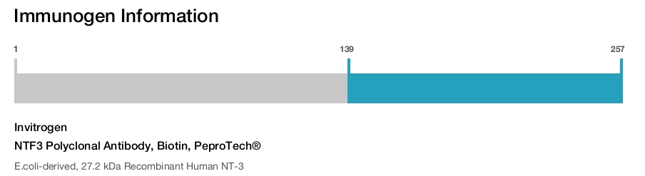 NTF3 Polyclonal Antibody, Biotin, PeproTech®