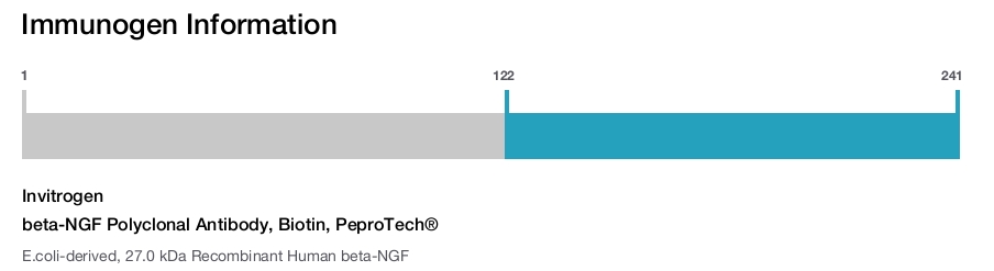 beta-NGF Polyclonal Antibody, Biotin, PeproTech®