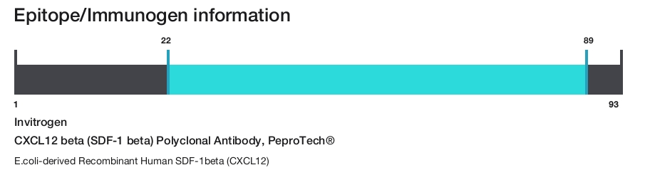 CXCL12 beta (SDF-1 beta) Polyclonal Antibody, PeproTech&reg;