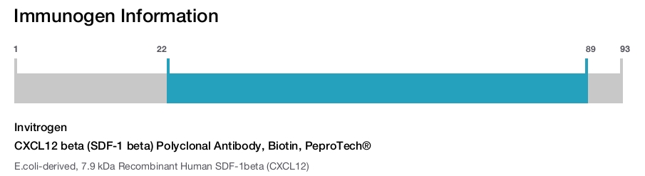 CXCL12 beta (SDF-1 beta) Polyclonal Antibody, Biotin, PeproTech®